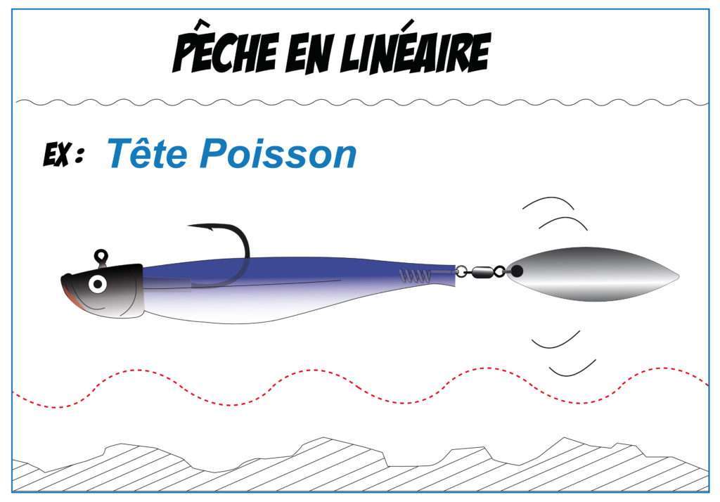 Pêche en linéaire avec un Shaker doté d’un système Quick Willow en queue