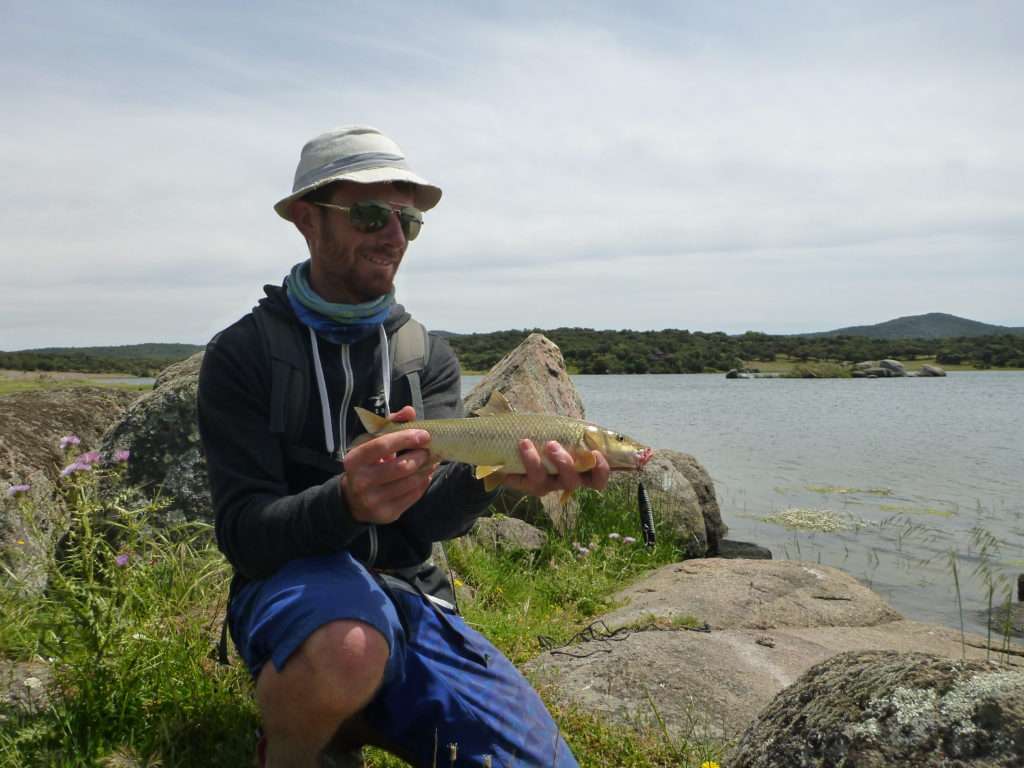 Série poisson hors norme au stickbait, Colin avec un barbeau pris au Puppy ! 