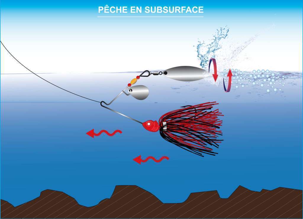 Pêche en subsurface au spinnerbait