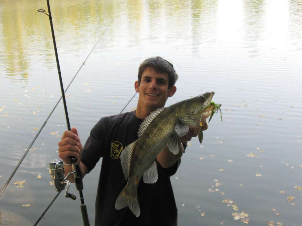 Manié prés du fond, le spinnerbait est également efficace sur les sandres ! 