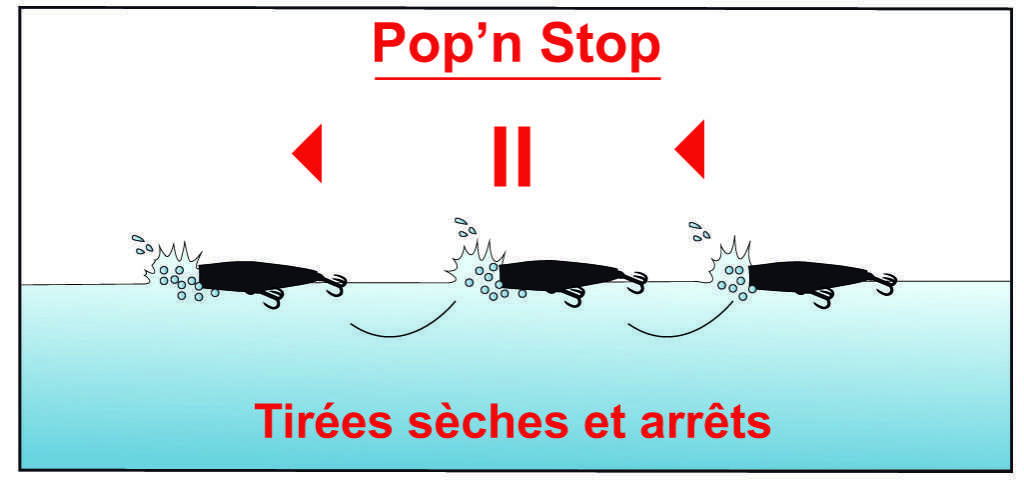 Nage en Pop’n Stop du 3D Popper Yo-Zuri