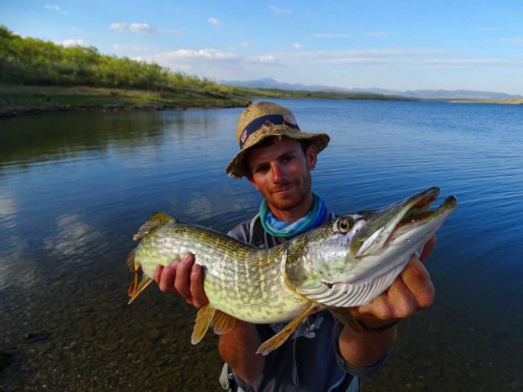 Magnifique brochet pris en zone shallow par Colin !