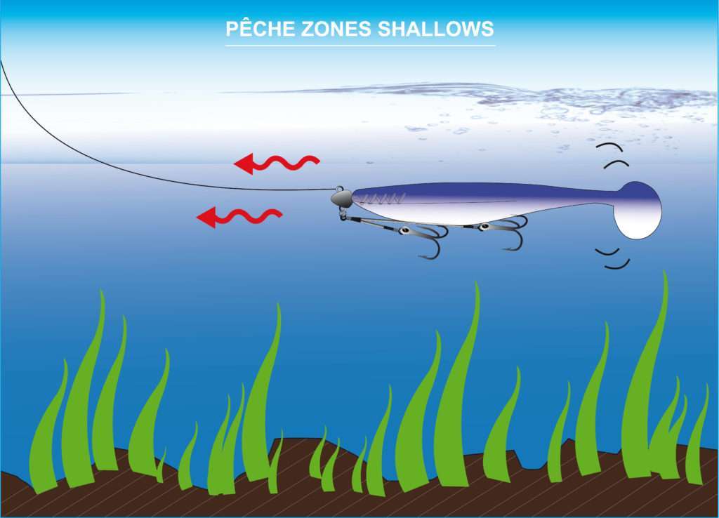 Une tête Mass Fix et un montage Screw Rig sur un gros shad est parfait pour pêcher les zones shallows
