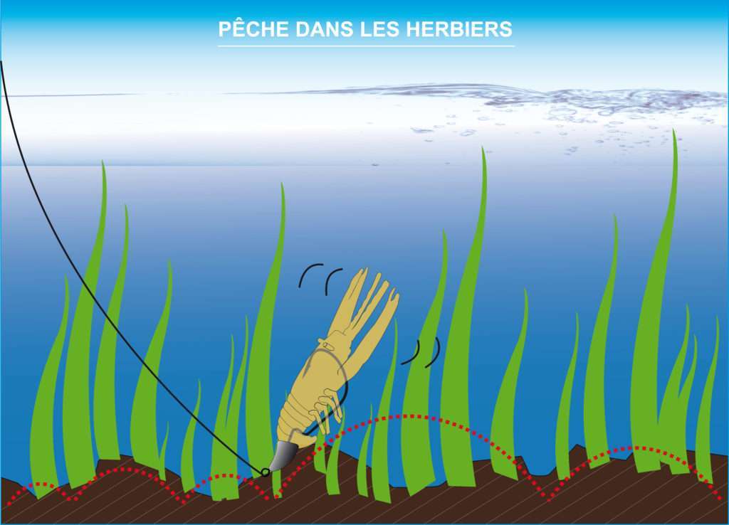 La tête Finess Nose Jig Head Scratch Tackle permet de pêcher sans accrocher dans les herbiers