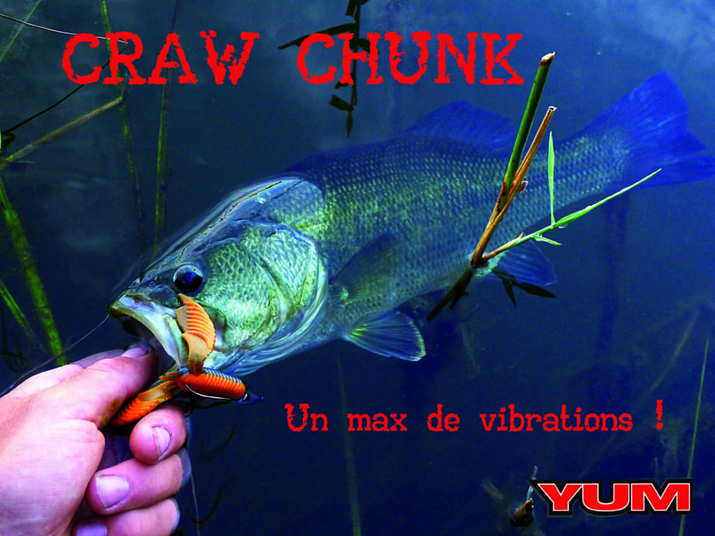 Joli bass pris sur une Craw Chunk montée sur une tête Finess Nose Jig Head Scratch Tackle