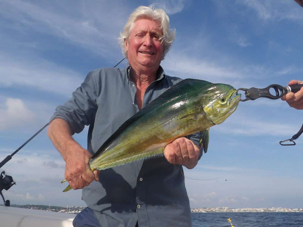 La coryphène étant un poisson sautant beaucoup, une bonne épuisette est indispensable ! 