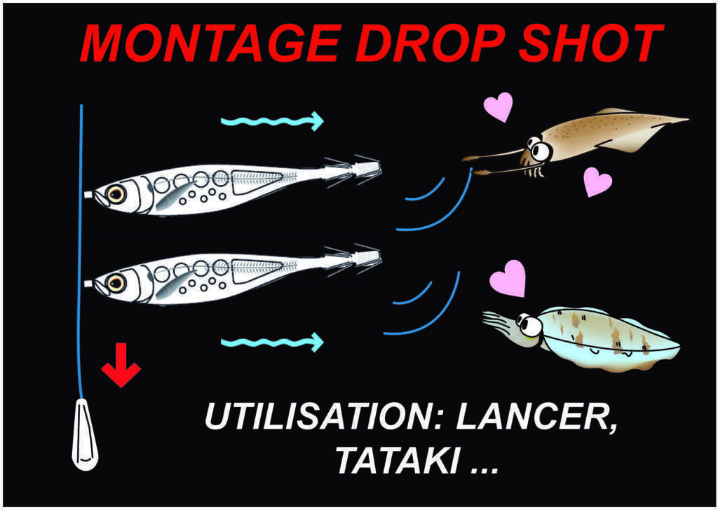 Montage drop shot avec l’Ultra Bait Yo-Zuri