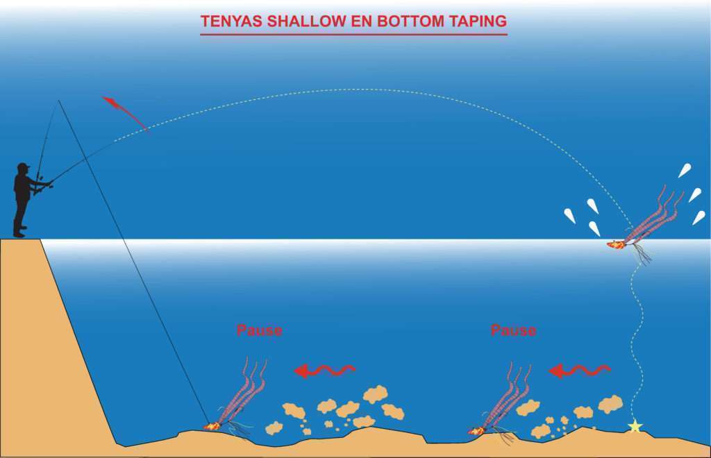 Animation en bottom taping du tenya Rock Shallow Explorer Tackle avec des vers