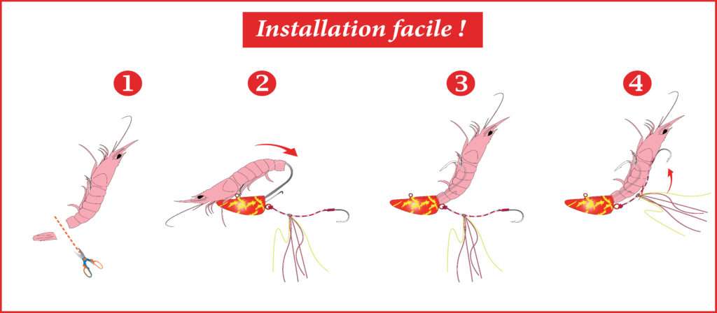 Comment installer une crevette sur son tenya Shallow Explorer Tackle 