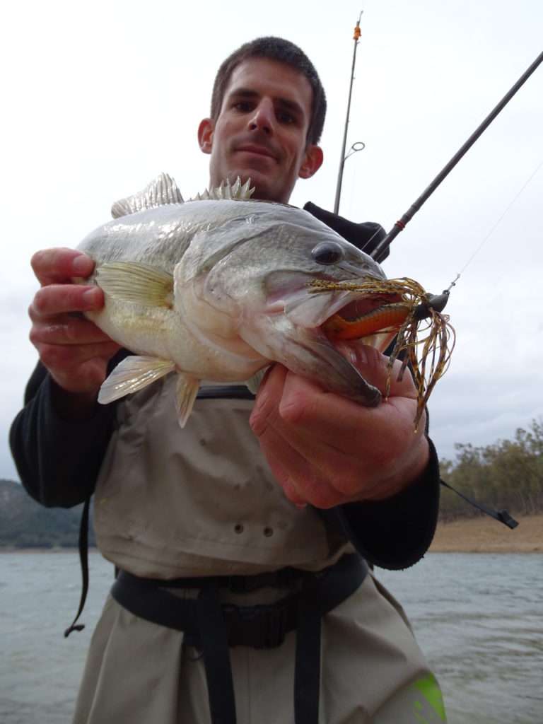 La pêche au rubber jig en bottom taping est parfaite pour les poissons tenant le fond