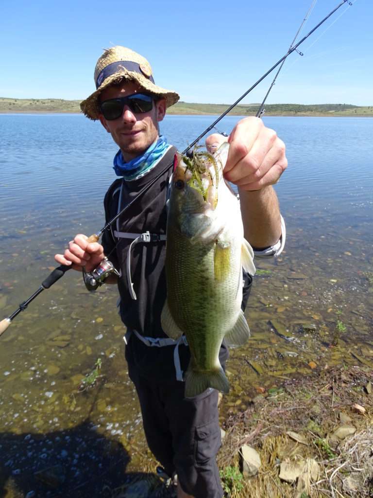 Les petits rubber jigs bien planant sont parfaits pour les carnassiers difficiles