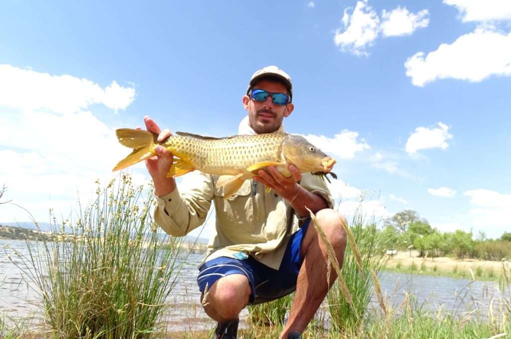 Une autre carpe prise par Etienne au rubber jig avec une craw en trailer manié en bottom taping