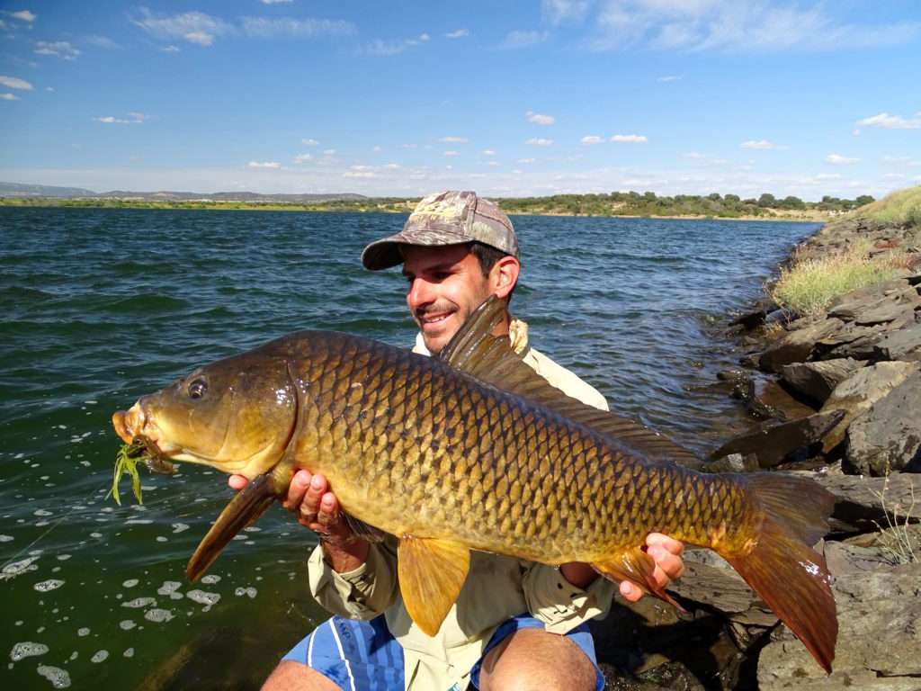 Etienne avec une carpe prise au rubber jig avec une craw en trailer