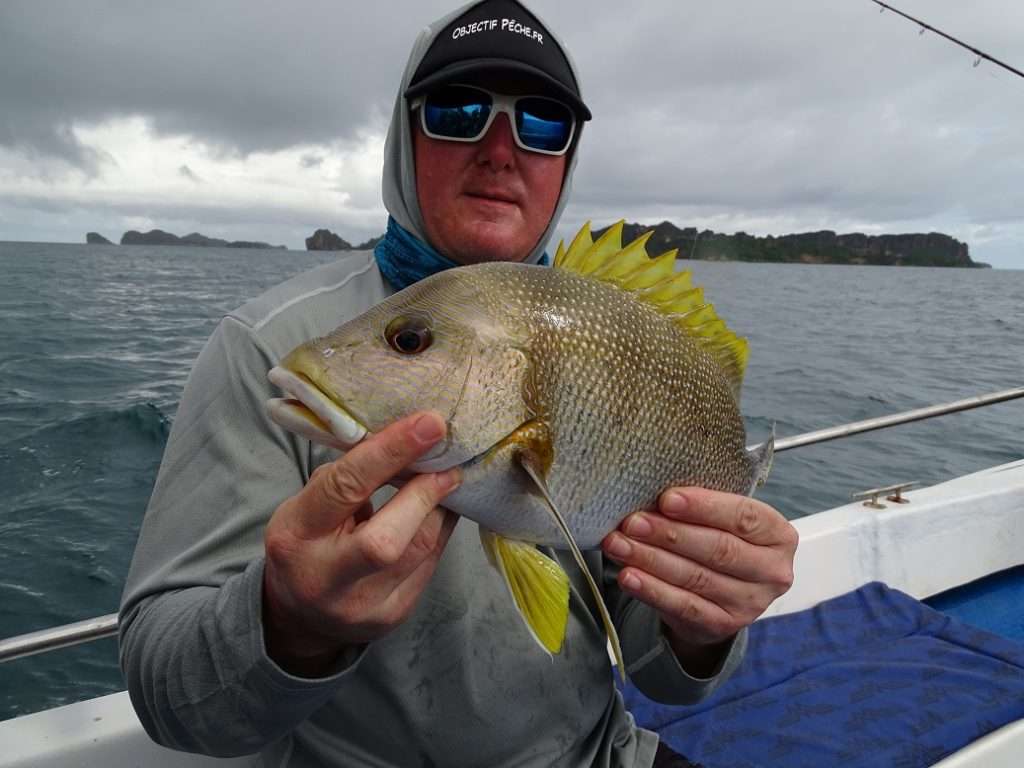 La diversité des poissons à Madagascar est impressionnante ! 