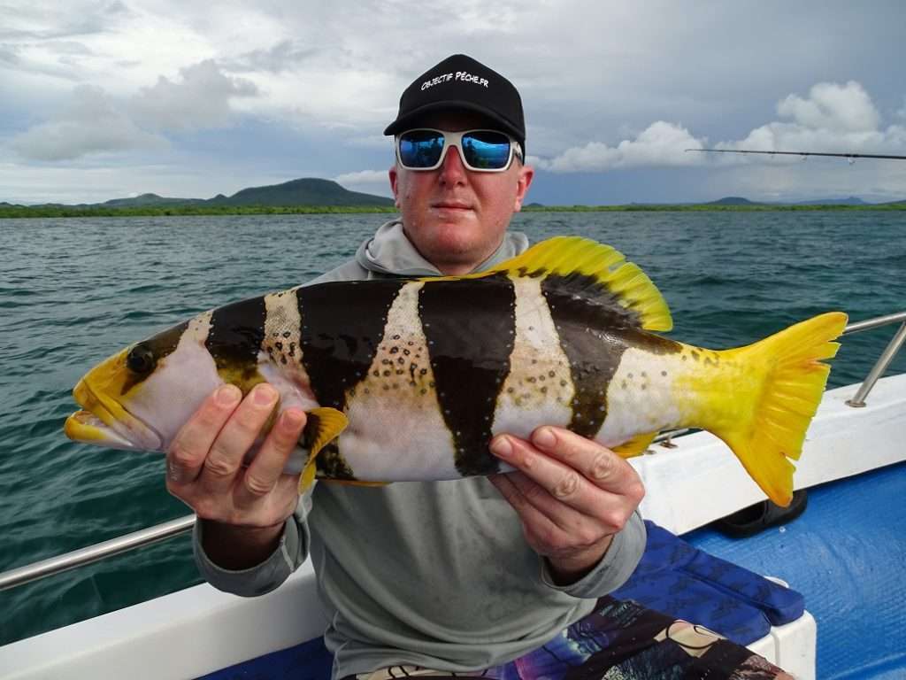 La robe de ce poisson pris par Olivier est magnifique ! 