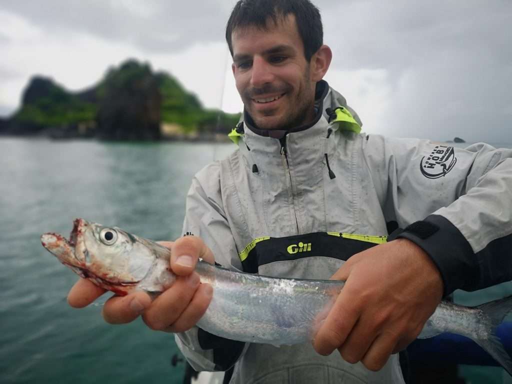 La diversité des poissons à Madagascar est impressionnante ! 