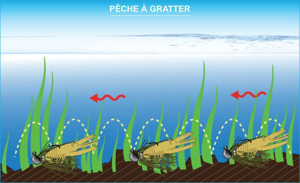 Pêche à gratter avec un rubber jig doté d’une d’une Crawbug: maniement avec de petits bonds entrecoupés de pauses courtes