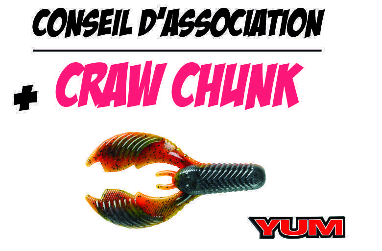 La Craw Chunk associé à un Craw Chunk Yum est très efficace avec la technique du swimming jig