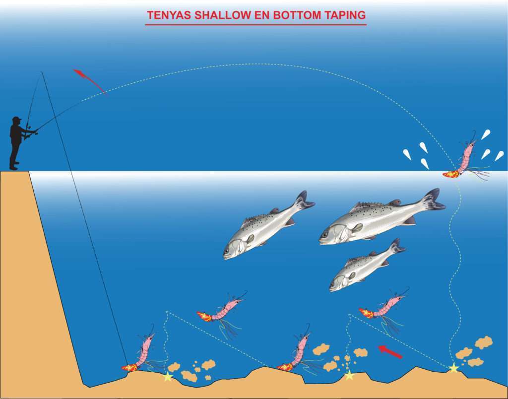 Tenyas shallows en bottom taping