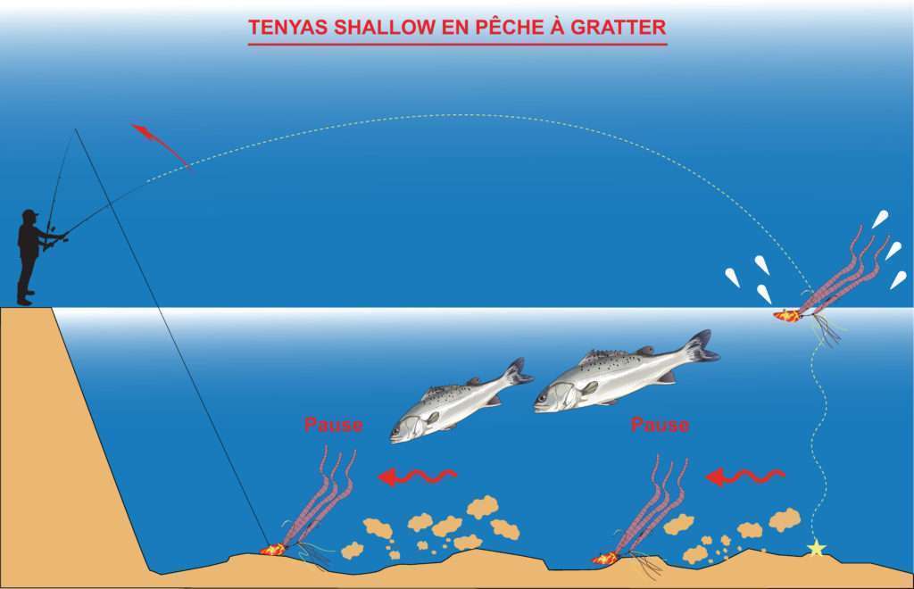Tenyas shallows en pêche à gratter avec des vers