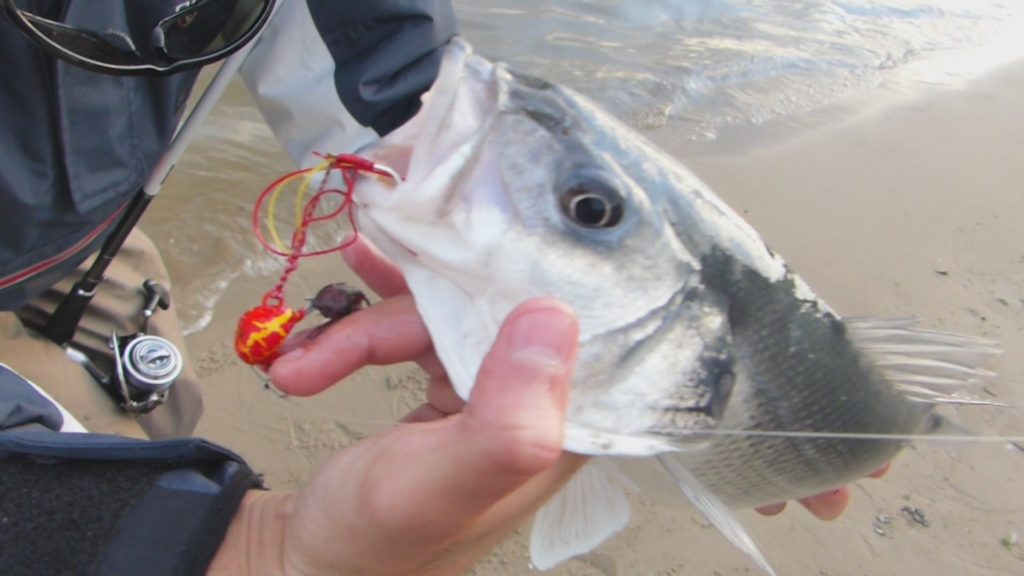 Le tenya Rock Shallow Explorer Tackle  est idéal pour la pêche des bars du bord ! 