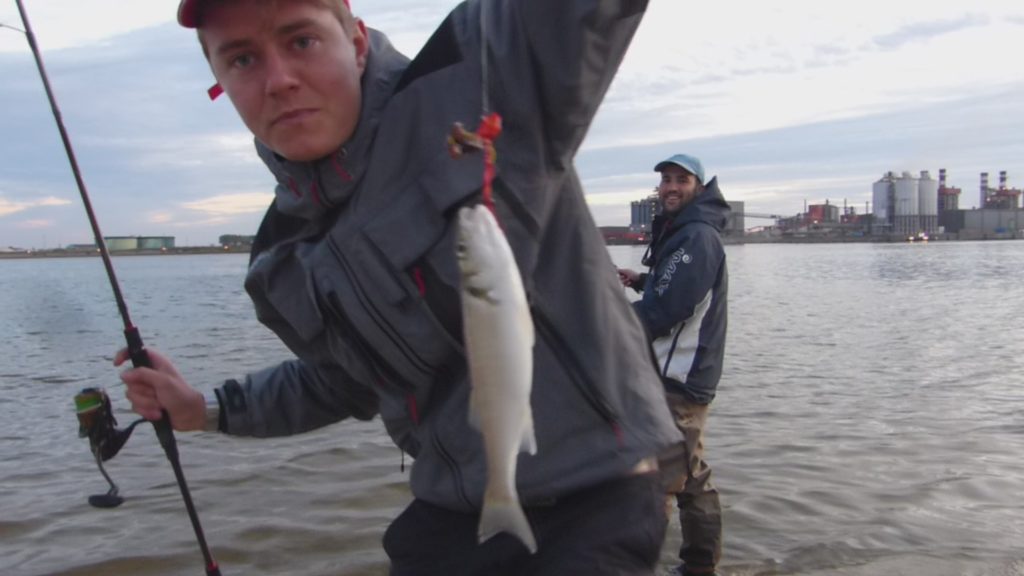 Ce petit bar pris au Tenya Explorer Tackle par Louis a été aussitôt relâché ! 