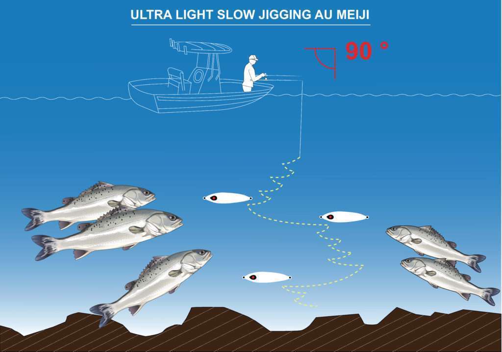 Le Meiji est très efficace sur les bars manié à la verticale en ultra light slow jigging
