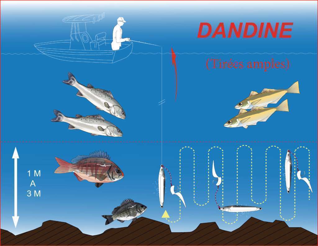 Dandine avec l’ensemble Cuiller Anchois L-Jack / appât