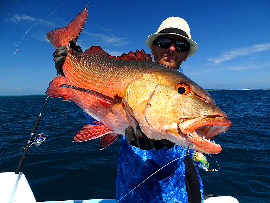 Jolie carpe prise avec un vieux Surface Cruiser par Colin