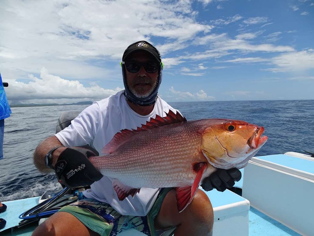 Un des seuls poissons à ne pas avoir été mangé