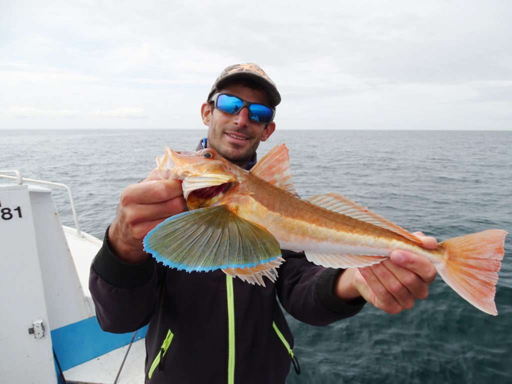 Etienne avec un magnifique grondin perlon pris avec une Cuiller Anchois L-Jack boostée avec une lanière de calamar