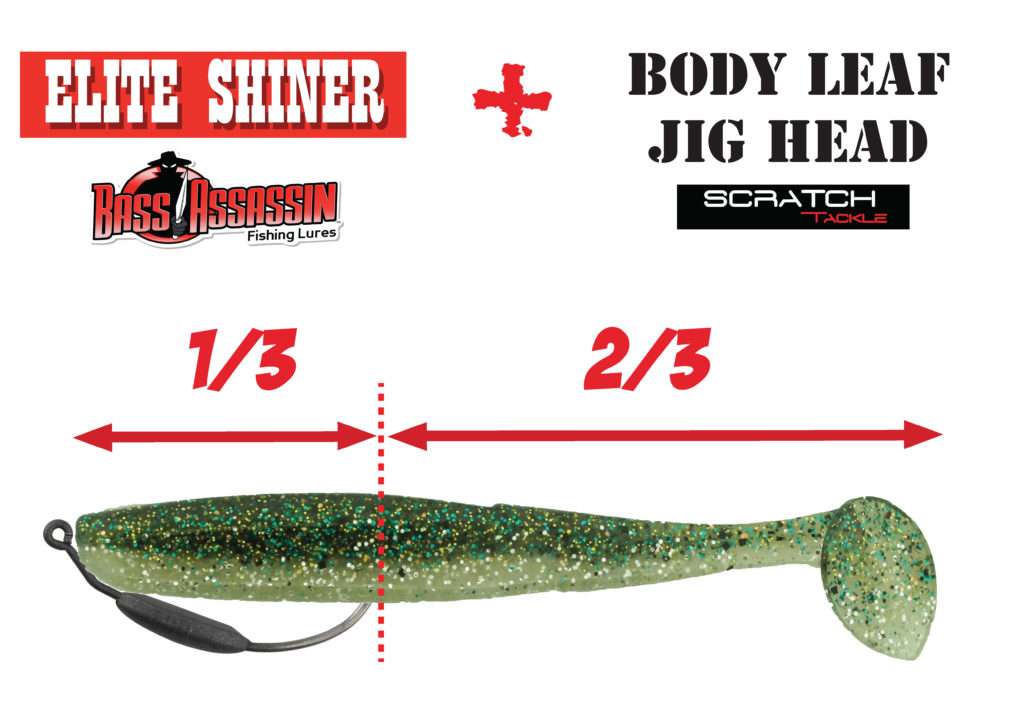 Pour bien armer votre shad Elite Shiner, votre texan doit arriver au premier tiers du leurre