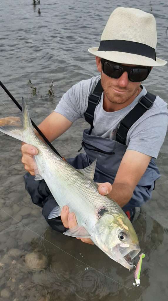 Colin et une belle alose prise au Crappie Dapper coloris Electric Chicken