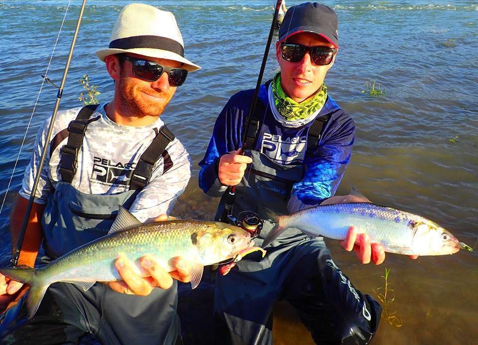 Paul et Colin avec des aloses prises au Crappie Dapper Bass Assassin