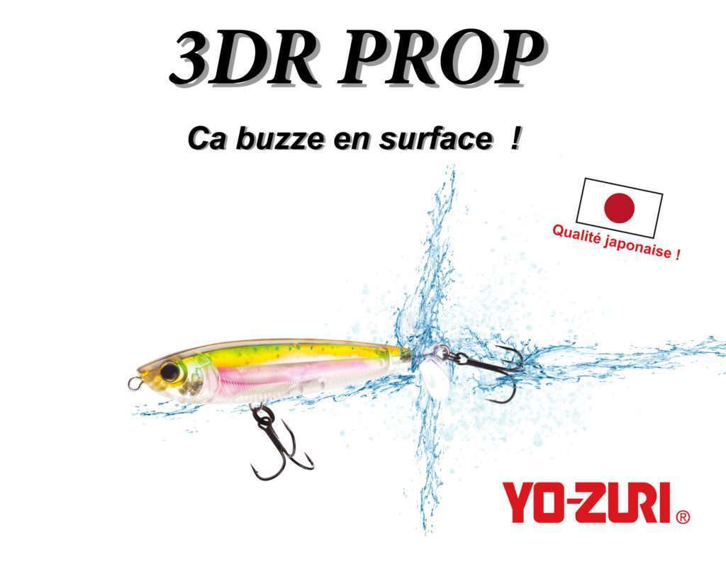 3DR Prop : ca buzze en surface !