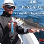 Nouveau 3DB Pencil 125 : le stickbait hyper sonore !