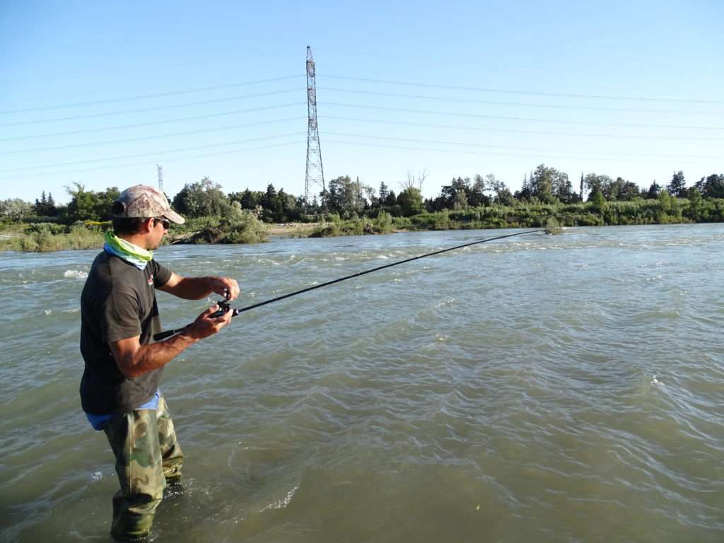 Etienne en combat avec une belle alose prise au Crappie Dapper Bass Assassin