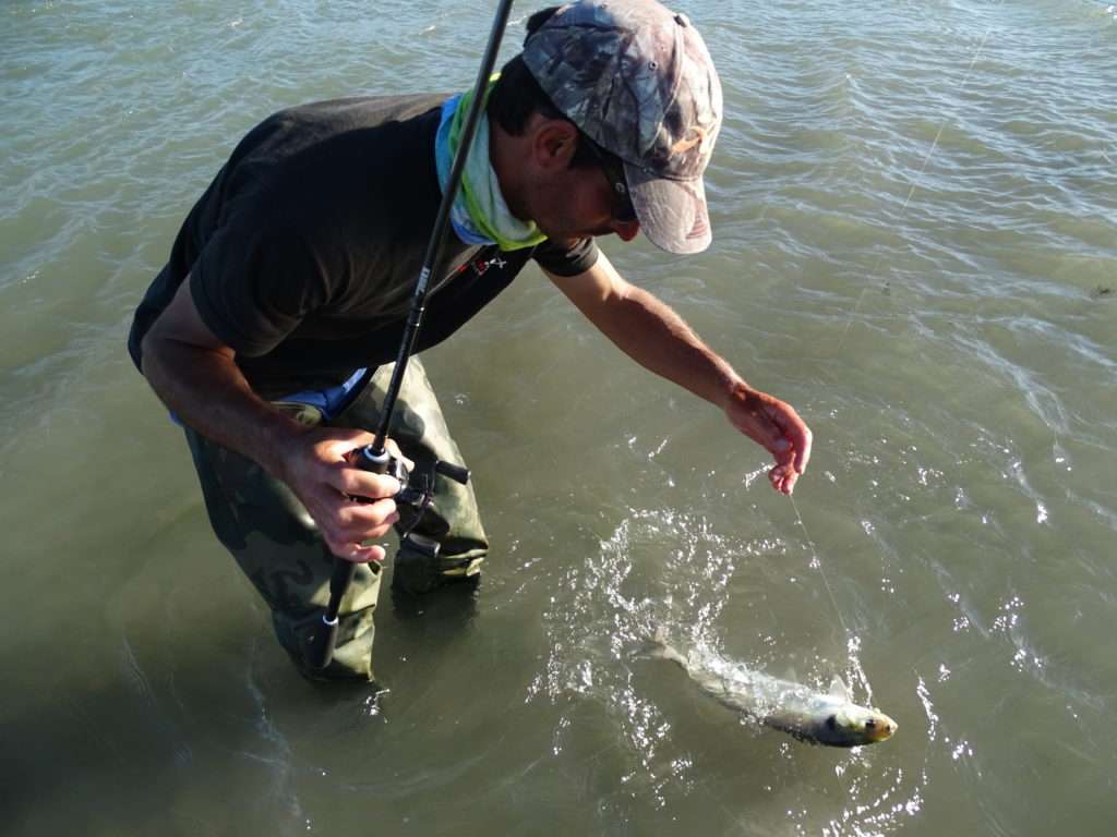 Etienne en combat avec une belle alose prise au Crappie Dapper Bass Assassin