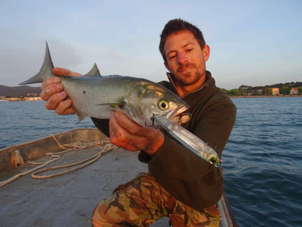 Comme le prouve ce tassergal, le 3DB Pencil 125 est efficace sur tous les prédateurs marins