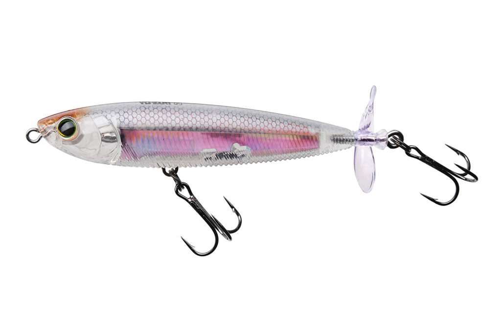 Le Coloris Glass Minnow du 3DR a été ultra efficace sur les tassergals !