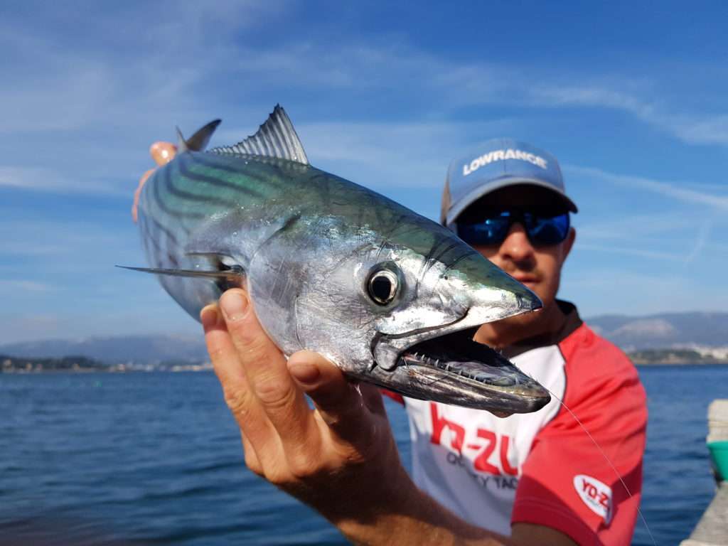 Vincent Goletto avec une belle pélamide prise au broumé léger