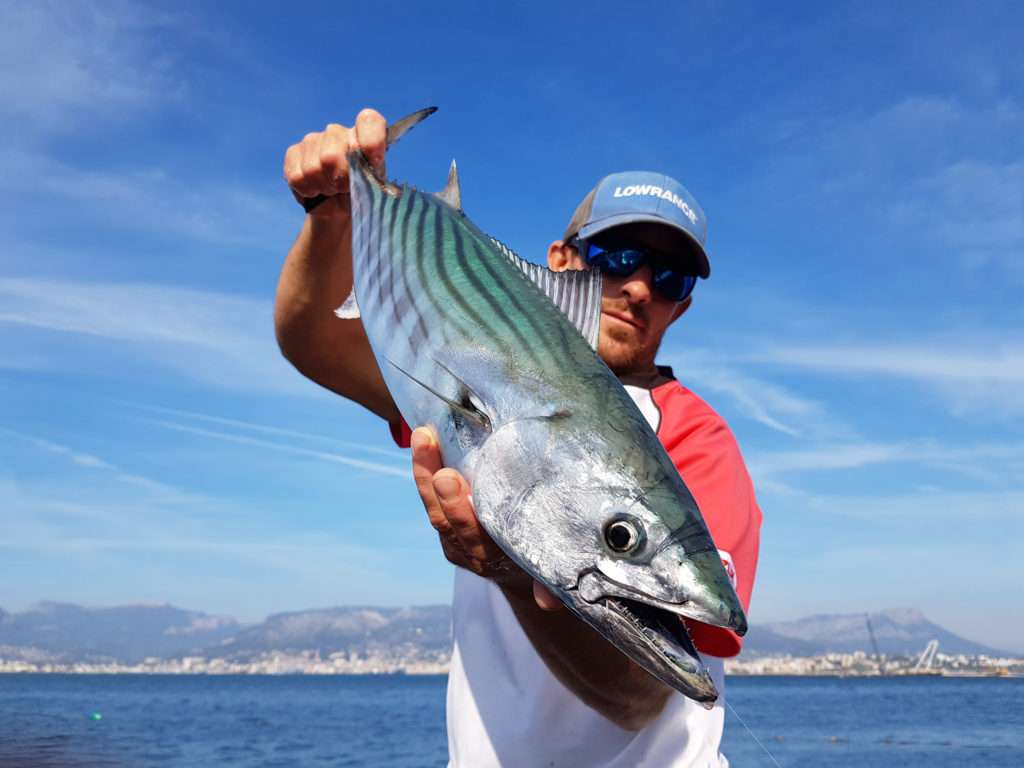 Vincent Goletto avec une belle pélamide prise au broumé léger