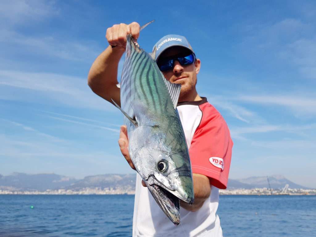 Vincent Goletto avec une belle pélamide prise au broumé léger