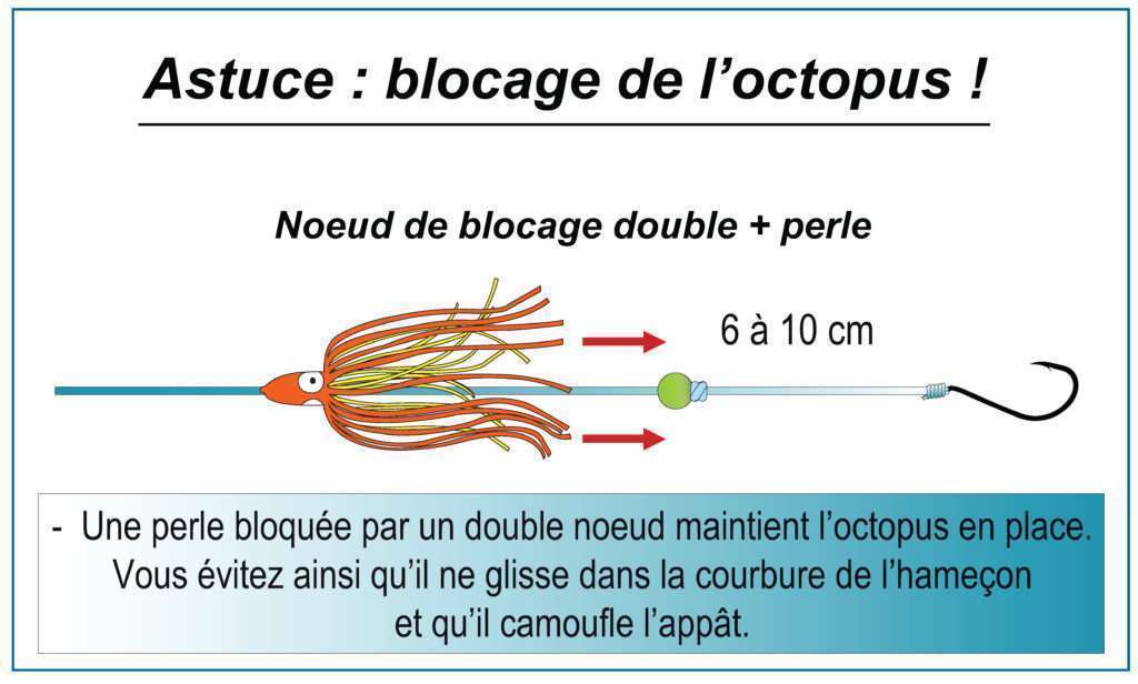 Astuce pour bloquer l’octopus devant l’appât