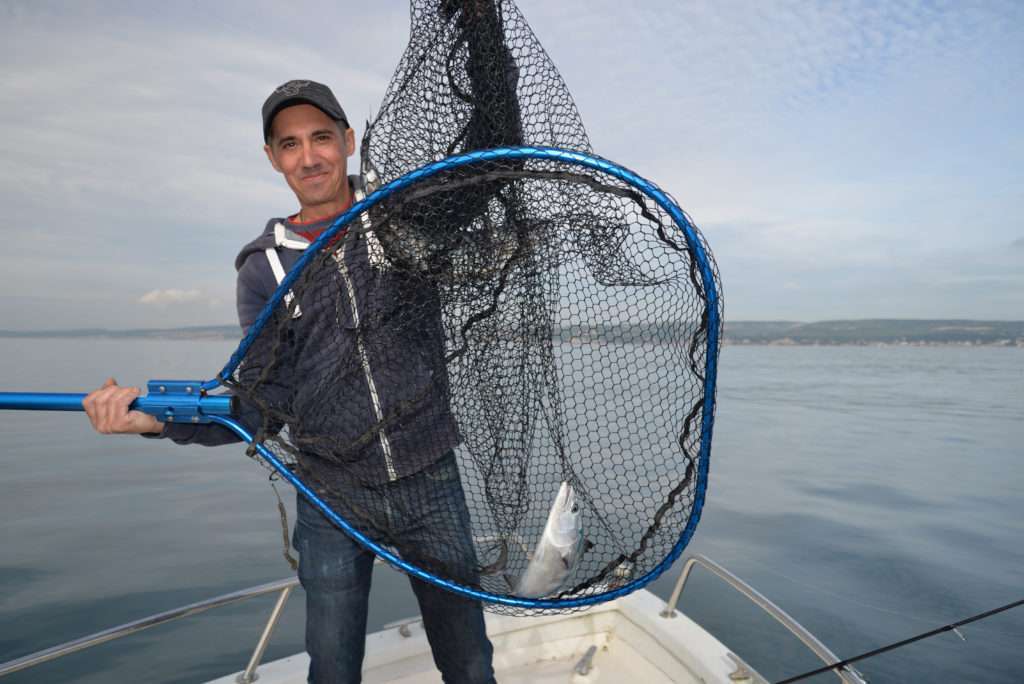 Doublé de pélamides à la Cuiller Anchois L-Jack dans une épuisette Alu Big Fish !