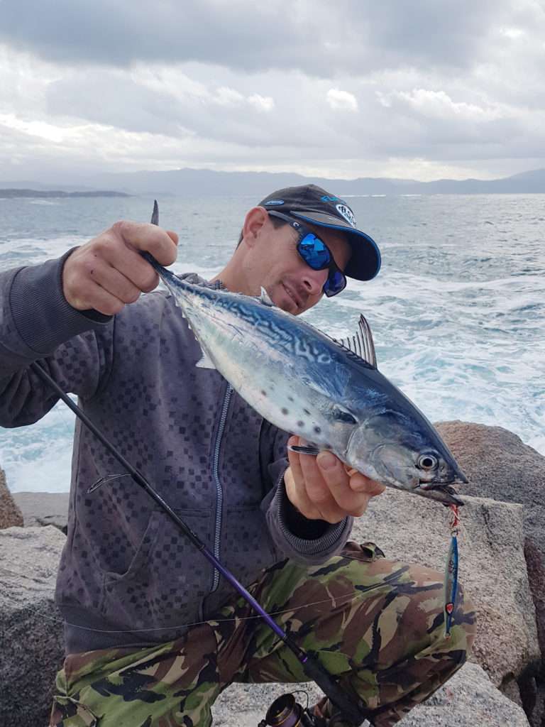 Encore une belle thonine prise au Jidai en shore jigging par Vincent !