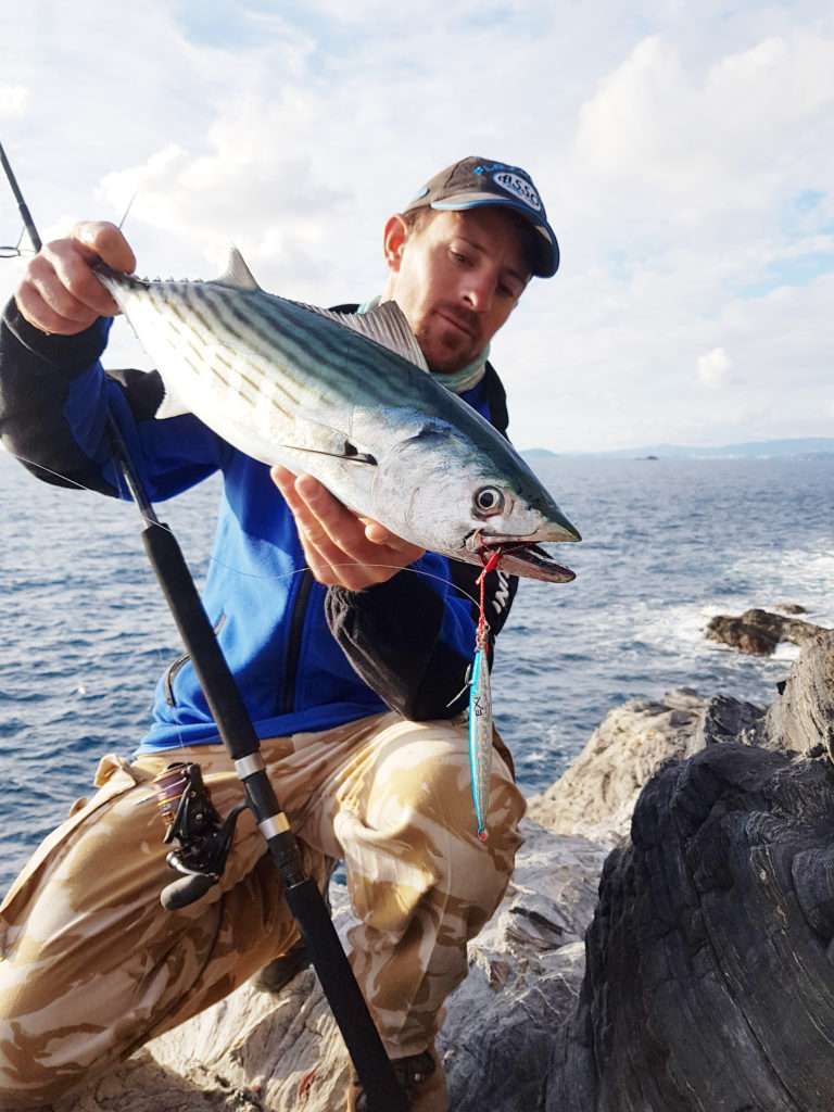 Belle pélamide prise en shore jigging au Jidai par Vincent ! 