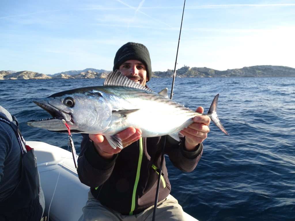 Belle pélamide prise sur chasse par Etienne à la Cuiller Anchois L-Jack