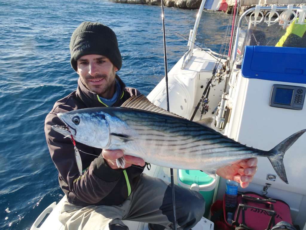 Belle pélamide prise sur chasse par Etienne à la Cuiller Anchois L-Jack