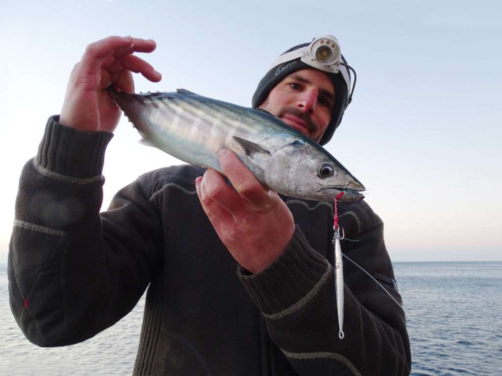 Belle pélamide prise en shore jigging au Jidai par Eitenne ! 